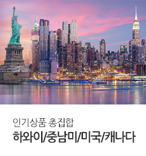 [기획전] 하와이/중남미/미주 인기상품 총집합